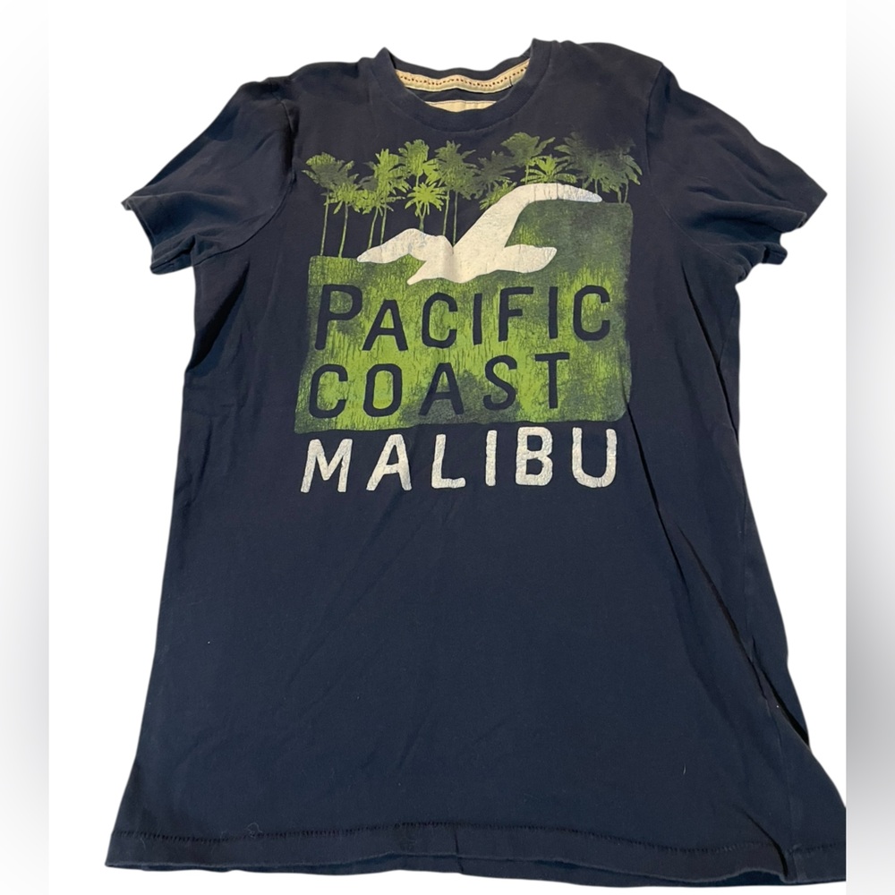 Hollister Navy Graphic Tee